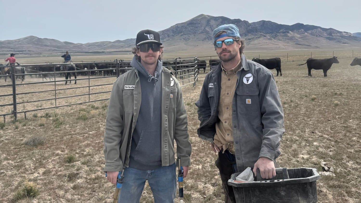 Brimstone's two founders at the cattle pens in branded work jackets, black cattle and a mountain ridge behind them