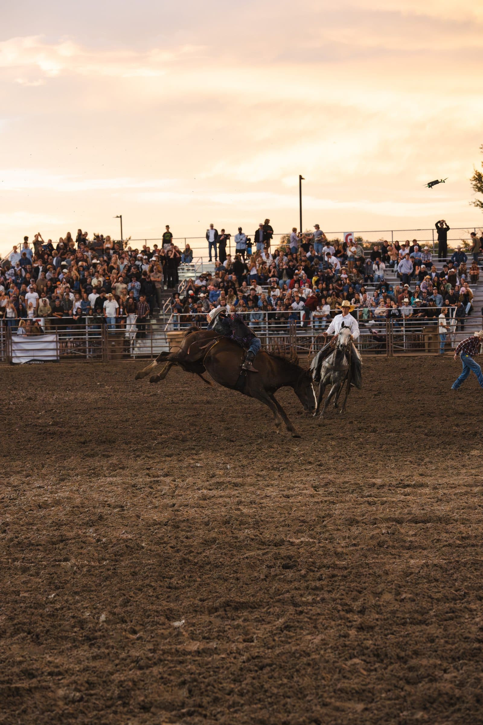 A bronc kicks both hind legs out in front of a packed grandstand at golden hour