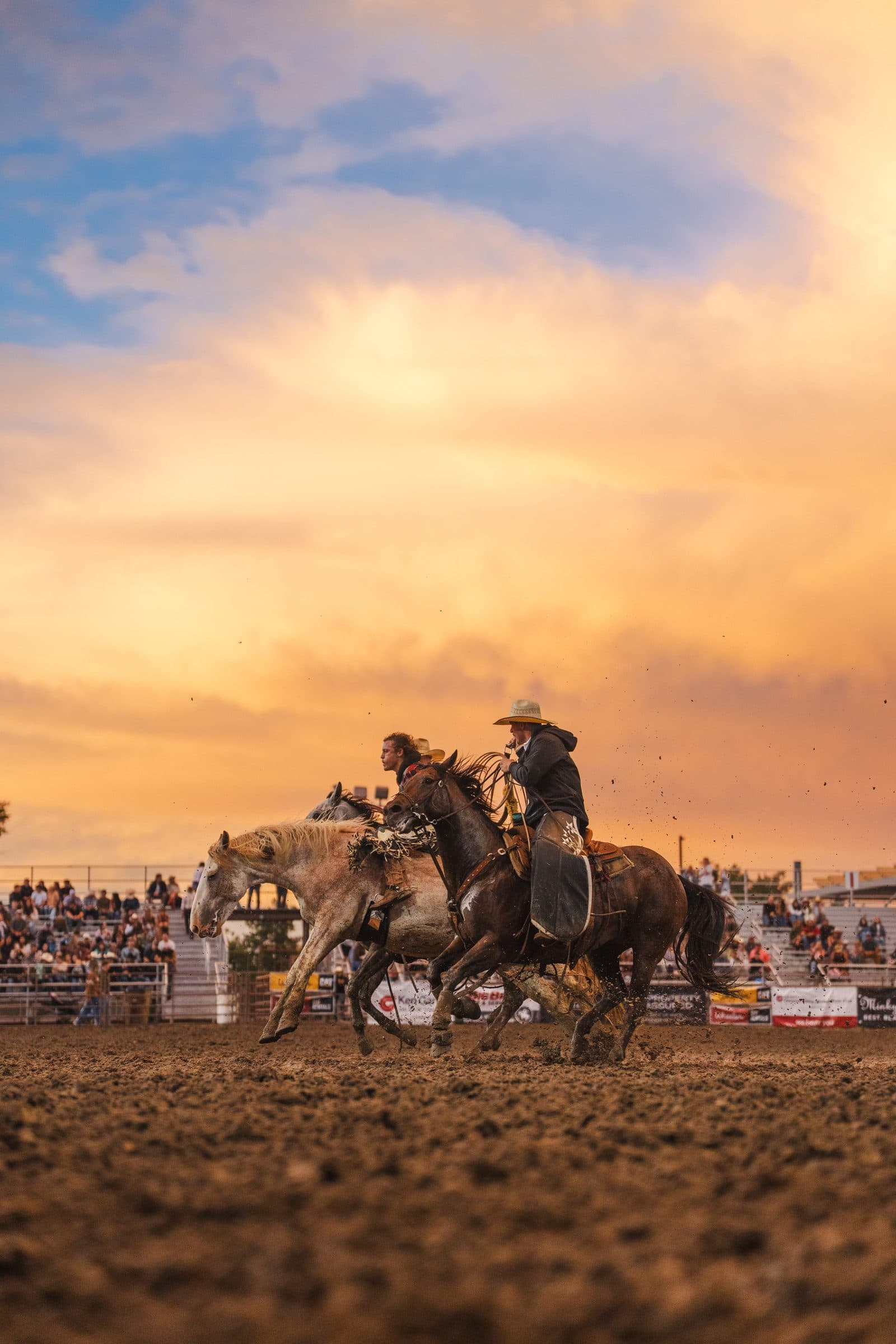Two pickup riders run a loose horse down as the sun goes