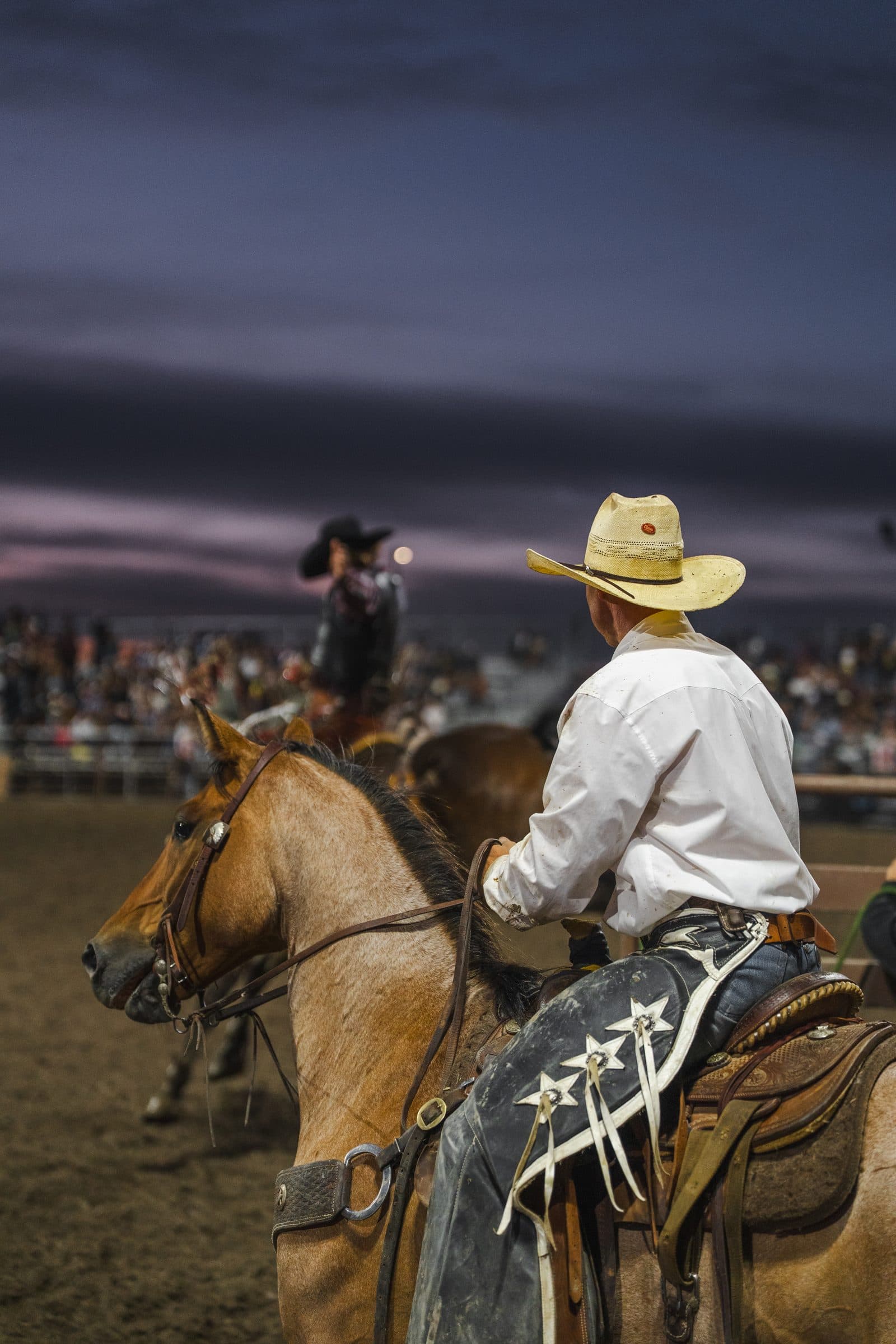 A pickup man waits on horseback in the last of the light